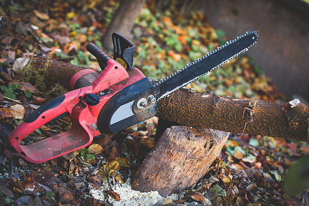 Best Aeration Services  in Platteville, CO